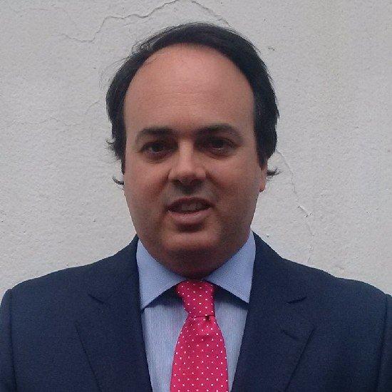 Imagen subida